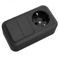 Bylectrica ПРАЛЕСКА Блок (2 выкл. + роз земля) ОУ черный, (2В-РЦ-529 черный)