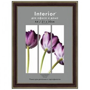 Фоторамка Interior Office пластик 2 серия 288/ 21х30 карельская берёза 30650