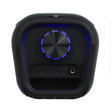 Колонка беспроводная BY Radiance, 20Вт,светомузыка,2400мАч,TWS,USB,BT 5.3,ВШГ 46x20x20см, черный