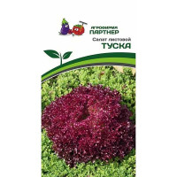Салат Туска Партнер Ц