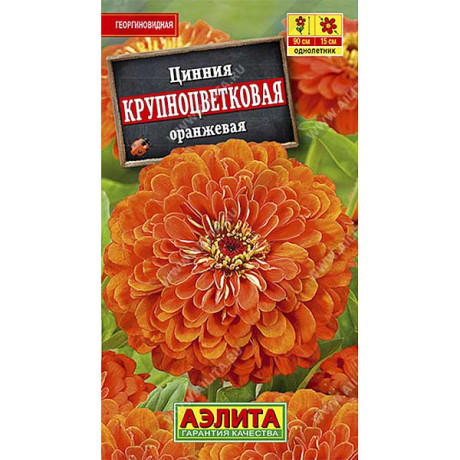 Циния Крупноцветковая оранжевая Аэлита Ц