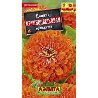 Циния Крупноцветковая оранжевая Аэлита Ц