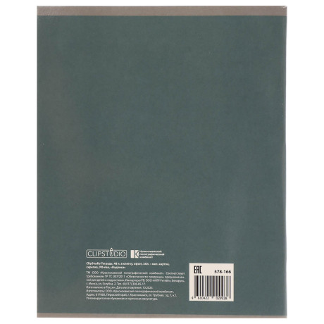 ClipStudio Тетрадь 48л. в клетку, офсет, обл. мел.картон, скрепка, УФ-лак, "Надписи" 4 диз.