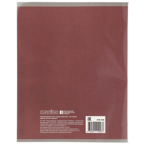 ClipStudio Тетрадь 48л. в клетку, офсет, обл. мел.картон, скрепка, УФ-лак, "Надписи" 4 диз.