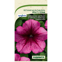 Петуния Ура F1 Плам мультифлора 7др Syngenta/Садовита Ц