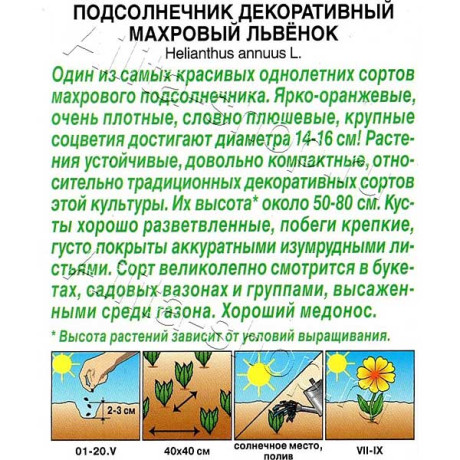 Подсолнечник Махровый львенок Аэлита Ц