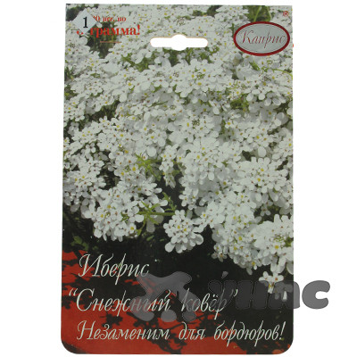 К Иберис Снежный ковер Каприс