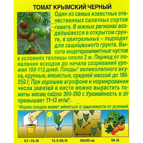 Томат Крымский черный Аэлита Ц