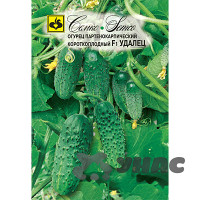 Огурец Удалец Семко Ц