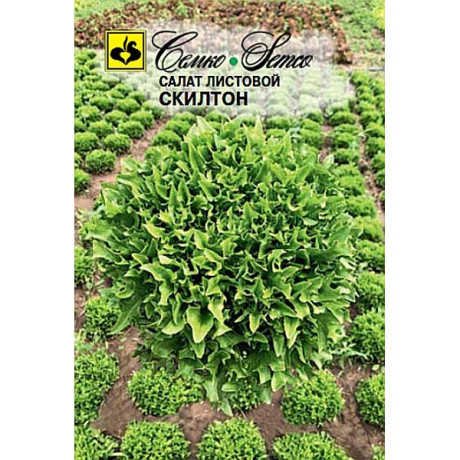 Салат Скилтон Семко Ц