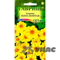Георгин Лента золотая Гавриш Ц
