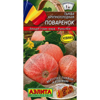 Тыква Поваренок Аэлита Ц