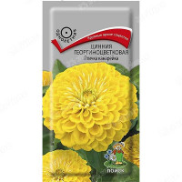 Циния Птичка канарейка георгиноцв Поиск Ц