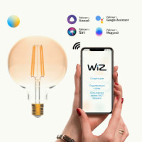 Gauss Filament лампа G95 E27 6.5W(720lm) 2K-4K-6K 140x95 зол стекло филам(нит) LOFT Wi-Fi Smart Home