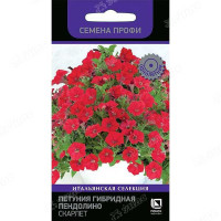 Петуния Пендолино  Скарлет  Поиск Ц