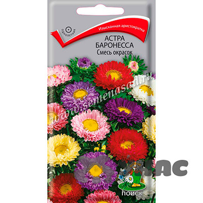 Астра Баронесса смесь Поиск Ц