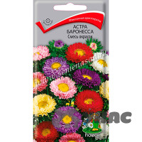 Астра Баронесса смесь Поиск Ц