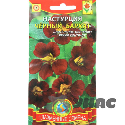 Настурция Черный бархат Плазма Ц