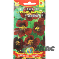 Настурция Черный бархат Плазма Ц