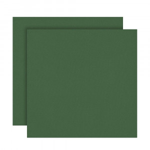 IVLEV CHEF Салфетка сервировочная, 2шт в комплекте, 40х40см, полиэстер, зеленый
