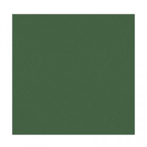IVLEV CHEF Салфетка сервировочная, 2шт в комплекте, 40х40см, полиэстер, зеленый