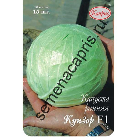 Капуста Куизор Каприс