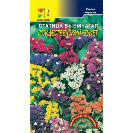 Статица Рождественский букет смесь ЦветСад Ц