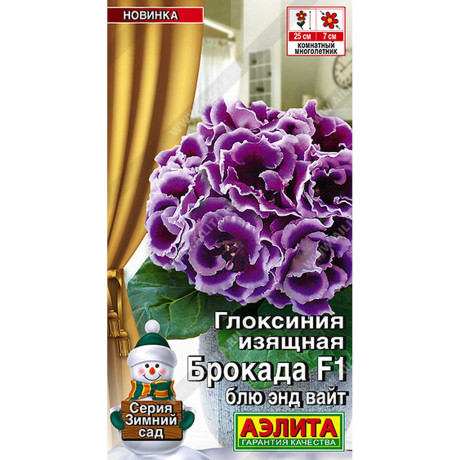 Ком Глоксиния Брокада блю энд вайт Аэлита Цх10