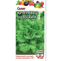 Салат Одесский кучерявец Гавриш Ц