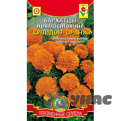 Бархатцы Купидон Оранж Плазма Ц