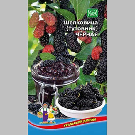 Шелковица (тутовник) Чёрная Марс Ц