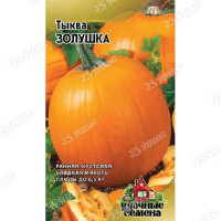 Тыква Золушка Удачные семена Гавриш Ц