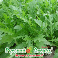 Рукола Сицилия НК Ц