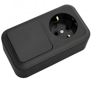 Bylectrica ПРАЛЕСКА Блок (1 выкл. + роз земля) ОУ черный, (В-РЦ-527 черный)