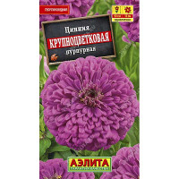 Циния Крупноцветковая пурпурная Аэлита Ц