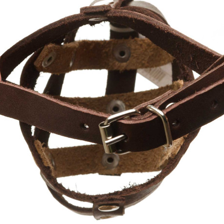Намордник кожаный для собак средних пород