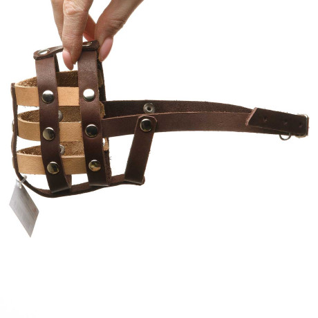 Намордник кожаный для собак средних пород