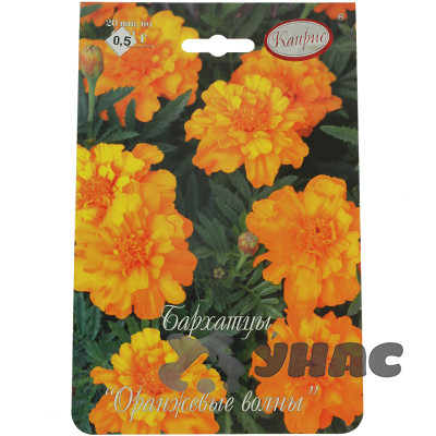 К Бархатцы Оранжевые волны (Германия) Каприс