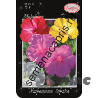 К Мирабилис Утренняя зорька смесь Каприс