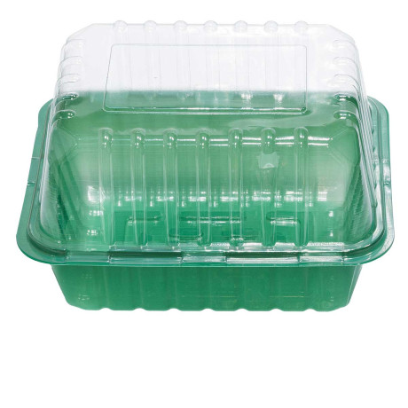 Парник 1 место (21*16*6,5см) х1100