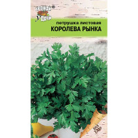 Петрушка Королева рынка листовая Урожай у дачи Ц