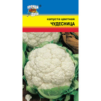 Капуста цв. Чудесница Урожай у дачи Ц