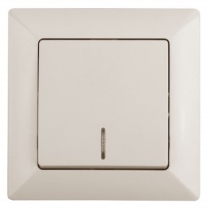 ЭРА Intro Solo выкл. 1кл. инд. 10А СУ, сл.кость 4-102-02, 1074