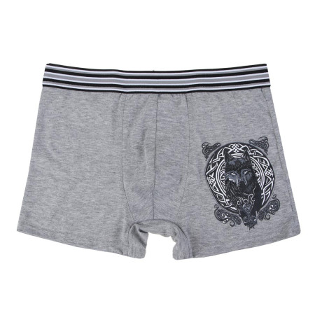 GALANTE Трусы-боксеры мужские с принтом р.50-56, 95%хлопок, 5%спандекс, 3 дизайна,НБ23-16