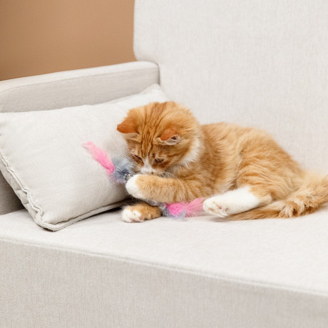 VETTA Игрушка для домашних животных, ПЭ, перья, 5,5х2,5 см