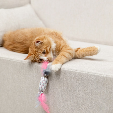 VETTA Игрушка для домашних животных, ПЭ, перья, 5,5х2,5 см