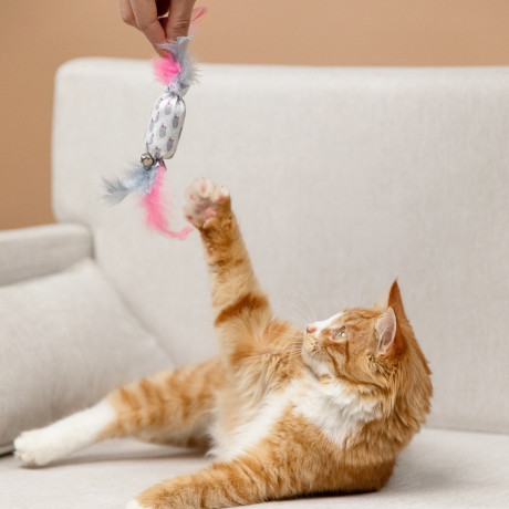 VETTA Игрушка для домашних животных, ПЭ, перья, 5,5х2,5 см