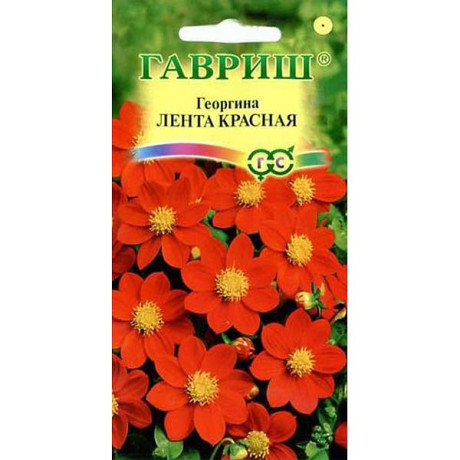 Георгин Лента красная Гавриш Ц