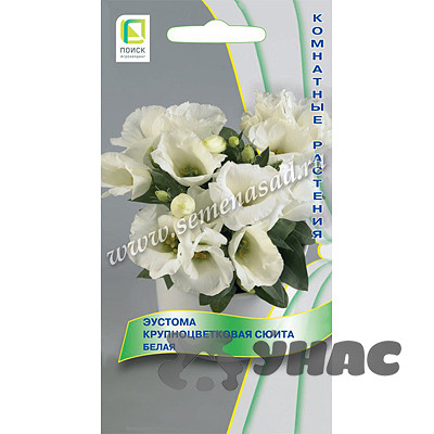 Эустома Сюита Белая Поиск Ц