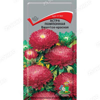 Астра помпонная Вишнево-красная Поиск Ц